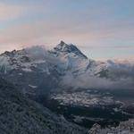 Marjorie Bosco Profile Picture