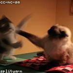 Claire Rutherford Profile Picture