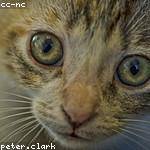 Bernita Volkman Profile Picture