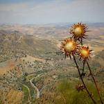 Citlalli Wiza Profile Picture