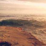 Lauren Dach Profile Picture