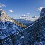 Judge Buckridge Profile Picture