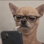 NN UP Profile Picture
